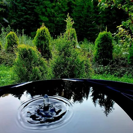 Hébergement de vacances Tylicki Stary Dom Tylicz