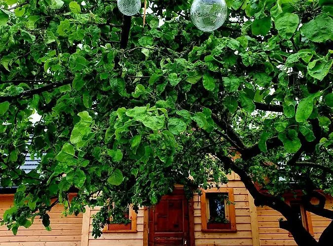 Tylicki Stary Dom Vakantiehuis Tylicz